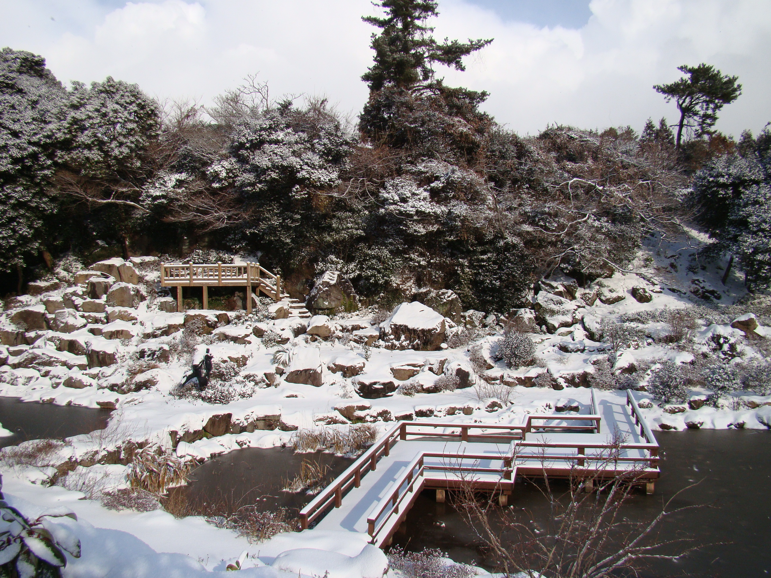 서귀포농업기술센터 겨울사진입니다. 서귀포에도 이렇게 눈이 내리네요!!!